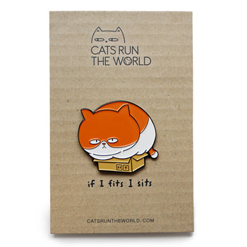 if I fits i sits - PIN